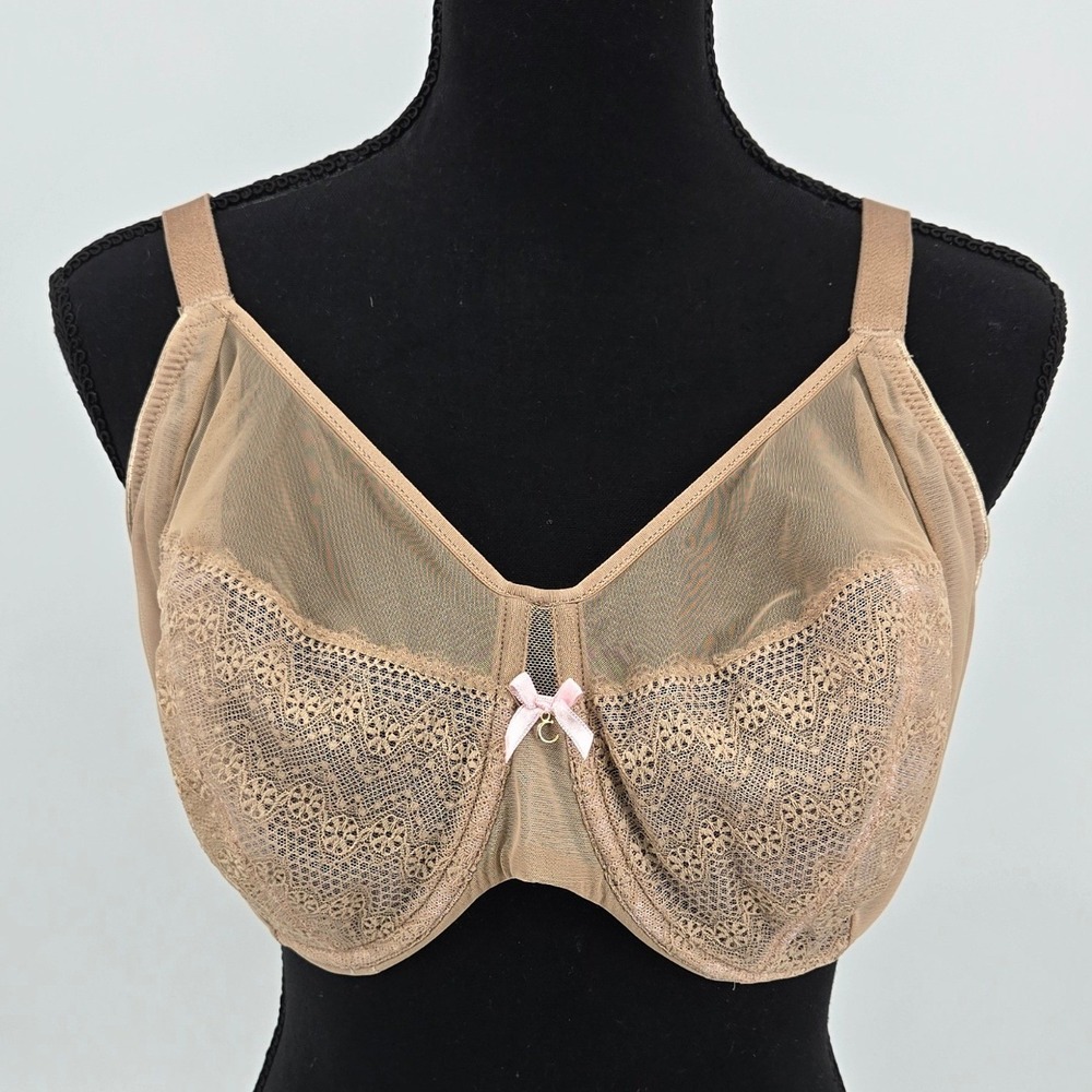 Chantelle C15710 Festivite Underwire Plunge Lace Mesh Accent Beige Bra 38DDDD